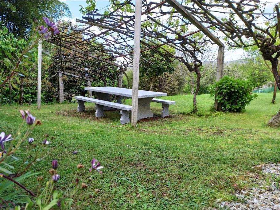 A Vina De Lina. Turismo Rural Con Piscina Y Finca. 庞特维德拉 外观 照片